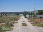 Terrain de 4000 m² à vendre à 100 MD à Hammamet Sud 51355351
