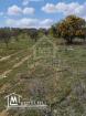 Un lot de terrain de 500 m² à vendre à 55 MD à Hammamet Sud