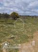 Un lot de terrain de 500 m² à vendre à 55 MD à Hammamet Sud