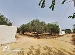 Terrain de 376 m² à vendre à manaret Hammamet 51355351