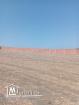 Terrain à vendre à Menzel Abderrahmane Bizerte
