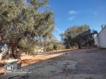Terrain clôturé de 876 m² à Hammamet Sud à vendre 51355351