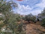 Terrain clôturé de 658 m² à Hammamet Nord à vendre 51355351
