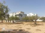 Terrain de 150 m² à Hammamet Nord à vendre 51355351