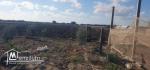Ferme 3 Hektar à chraf el Haouaria