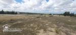 Terrain de 2000 m² à Tamezrat – Kélibia