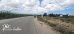 Terrain de 2000 m² à Tamezrat – Kélibia
