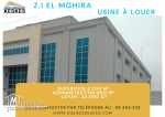 Usine Z.I El Mghira
