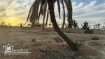 Terrain à vendre à khazroun Djerba