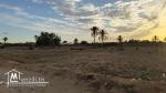 Terrain à vendre à khazroun Djerba