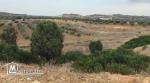 Terrain à vendre – Hammamet (El Menchar)