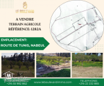 A vendre Terrain 2000m² agricole à route de Tunis Nabeul
