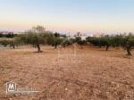 Terrain de 4018 m² à vendre à 200 dt/m² à Hammamet Sud
