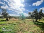 À Vendre – Ferme Oléicole de 16 Hectares