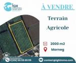 Terrain Agricole à Vendre – 2000 m² – Mornag
