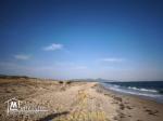 A vendre Terrain 4 Hectares à El marja Paradise tunisie