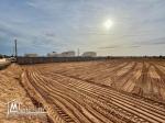DJERBA, SIDI SALEM Terrain 6 367 m² | Titre Bleu individuel | Prix : 300 000 TND