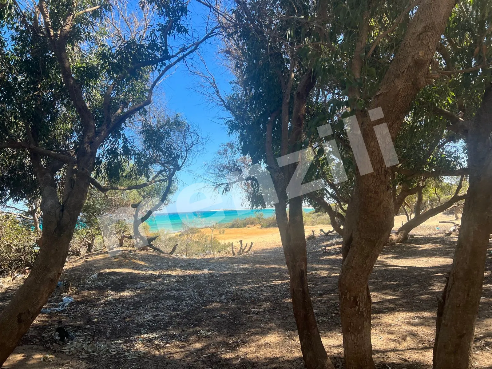 À vendre – Terrain de 20 000 m² avec vue mer entre Dar Allouche et Ezzahra