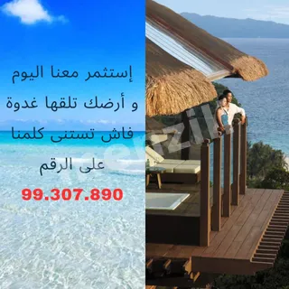 À vendre – Terrain de 50 000 m² avec vue mer à Hammam El Ghezaz