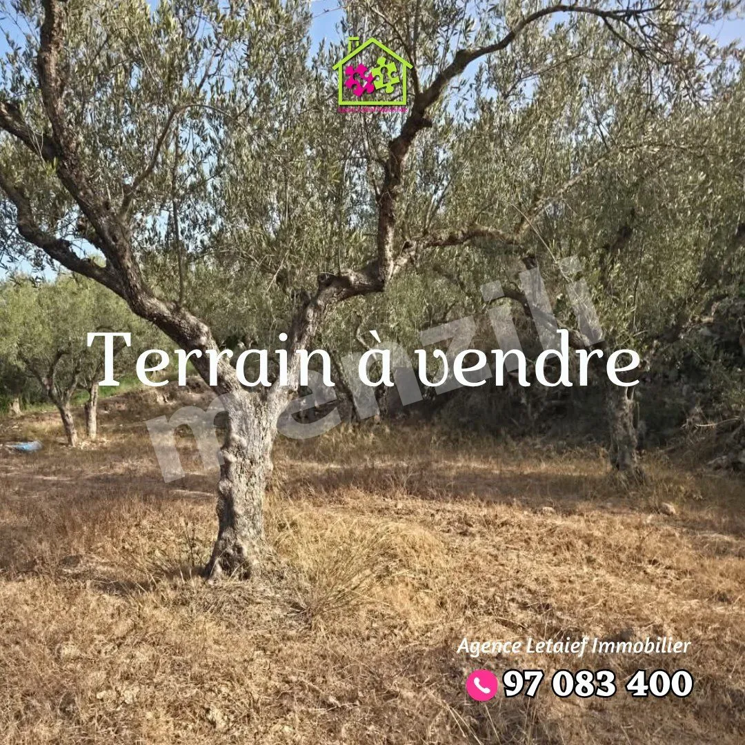 À vendre – Terrain de 1 500 m² à Foukaia, Chott Meriem