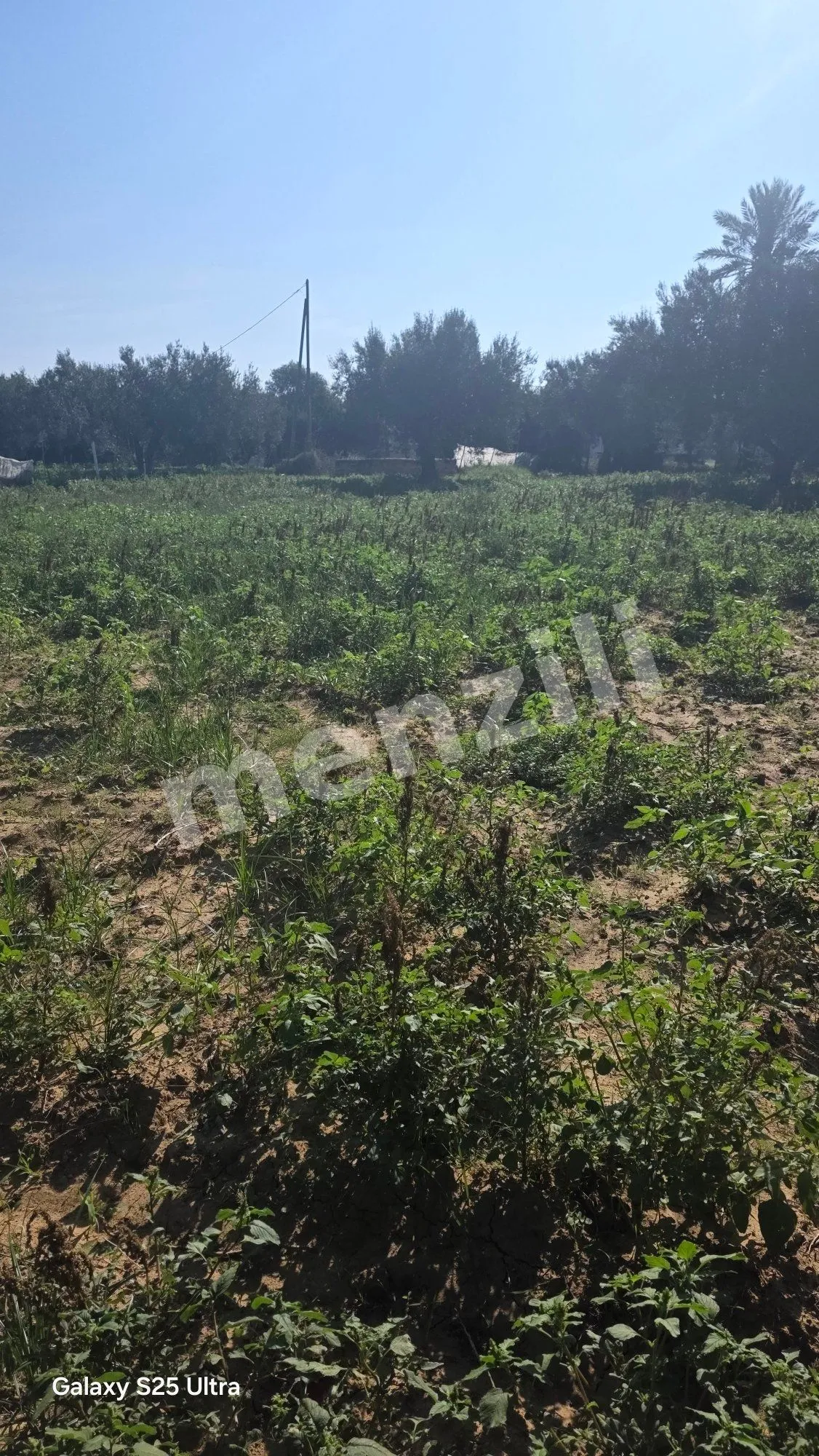À vendre – Terrain de 960 m² à Foukaia, Chott Meriem