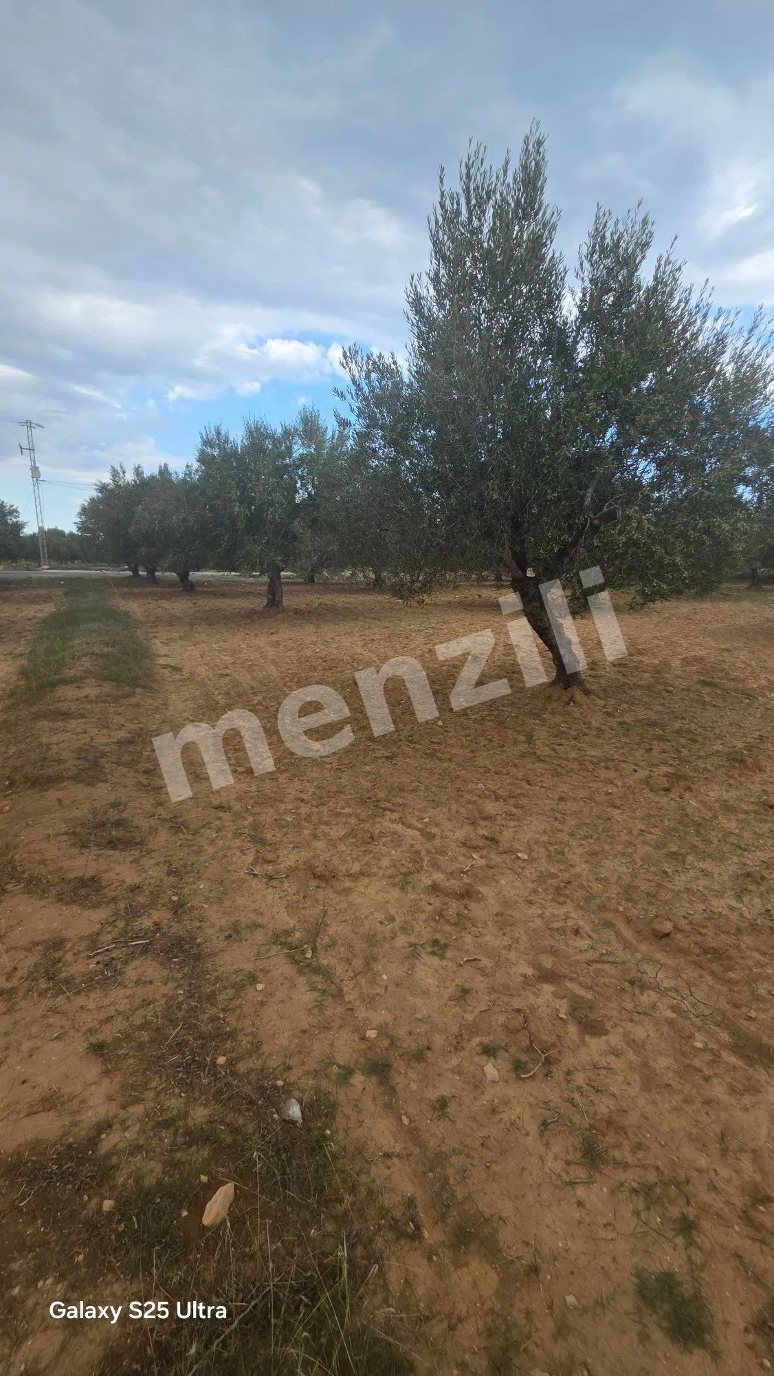 À vendre – Terrain de 1 000 m² à Foukaia, Chott Meriem